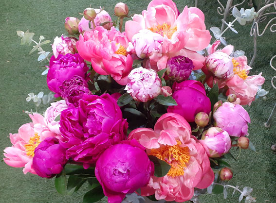 Bouquets de fleurs décoratifs